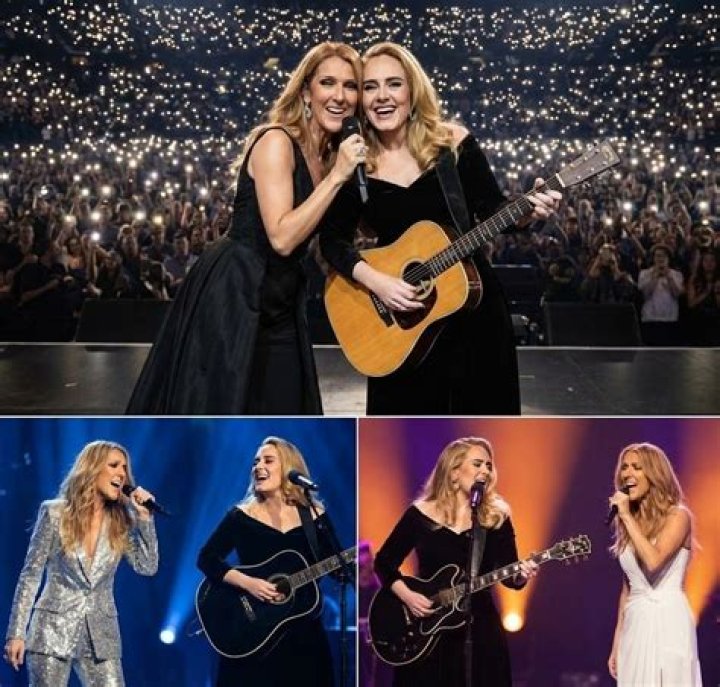 A Look Into Their Starry Careers