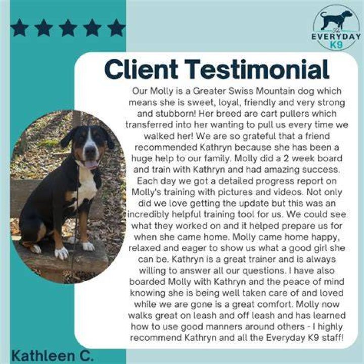 Client Testimonial Molly Kovarik with YouTube