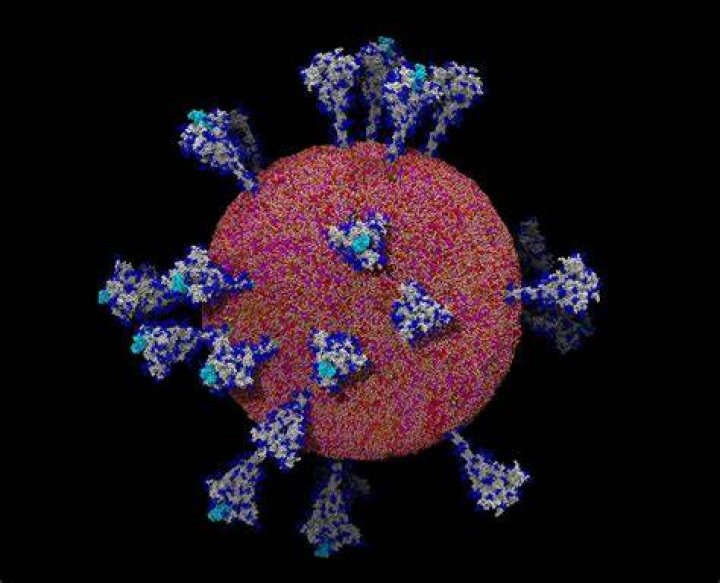 Coronavirus Them